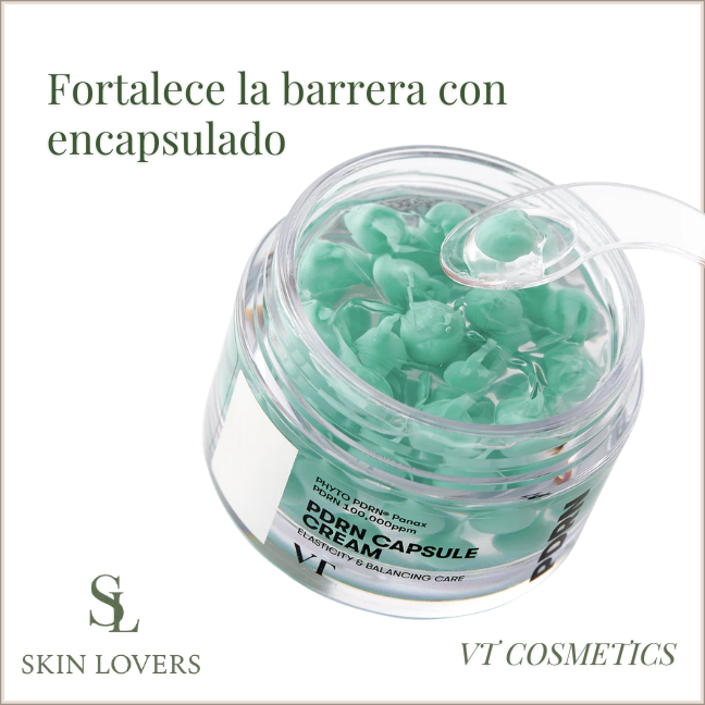 PDRN CAPSULE CREAM 100 50 ML- VT COSMETICS